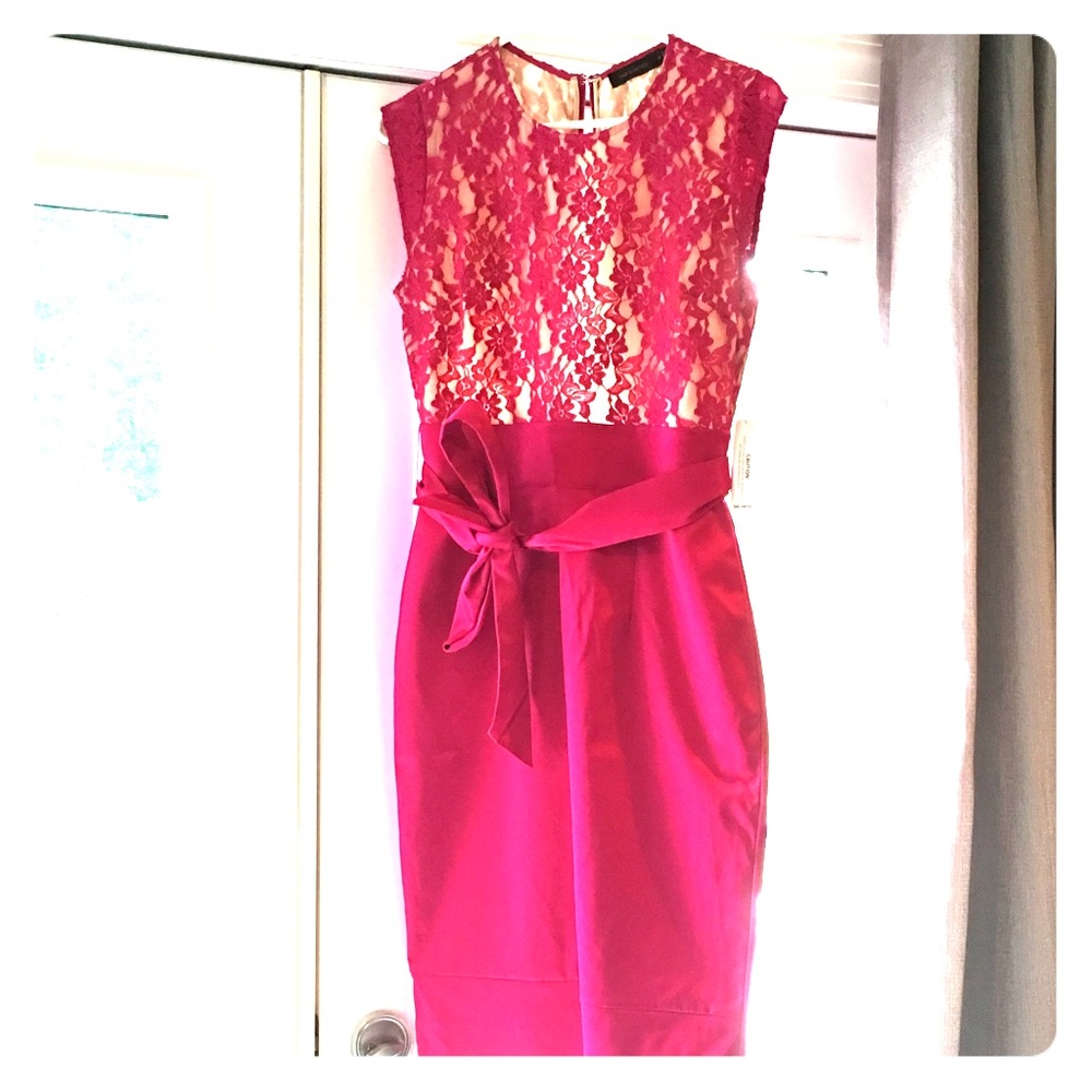 The Limited pink sheath dress-size 4